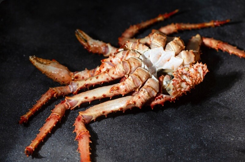 The Dark Side of King Crab Fishing: Death, Drugs, and Disappearing Stocks