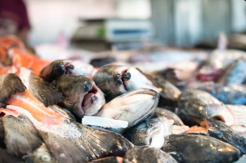 From Ocean to Plate The Billion Dollar Seafood Supply Chain Nobody Talks About